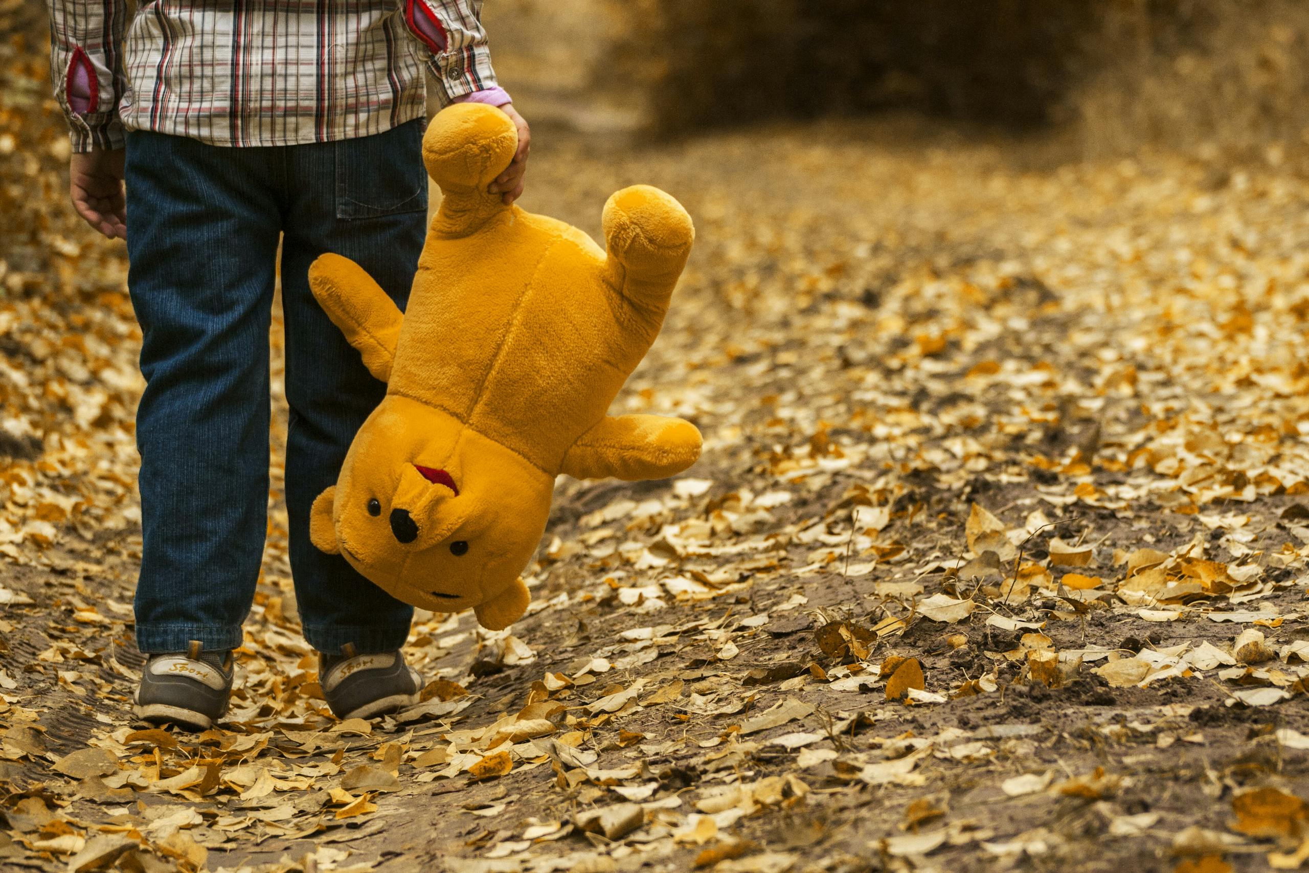 A child holding a plush toy walks through a forest path covered in autumn leaves.